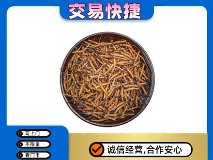 蒙自市高价回收散虫草